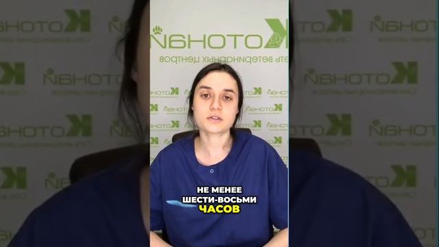 Голодная Диета| Как Правильно Применять