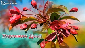 КРАСИВЫЕ ПЕСНИ ОБО ВСЁМ...Хорошего Дня!