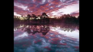 "НЕТ ЗЕМЛИ КРАСИВЕЙ..."    МИХАИЛ ХЕЙФЕЦ