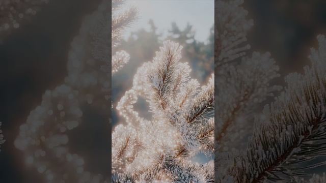 Больше нет