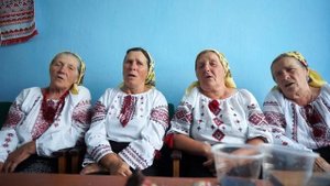 Посадила огірочки близько над водою, сама буду поливати - Чортовець 2019