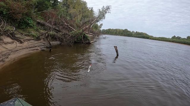 🎣УХОД🎣#сезонконтентаRUTUBE