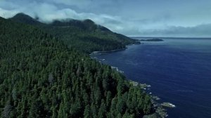 "Мудрость". 6 декабря. День за днем в Ал-анон. Ежедневник для созависимых.