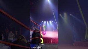 Выход клоуна Мули.