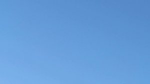 Лётные голуби 4