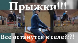 #прыжковая тренеровка. Конкур