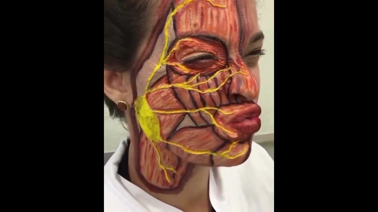 мимические мышцы лица тройничный нерв .