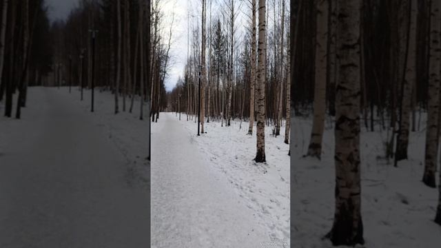 30 ноябрь.mp4