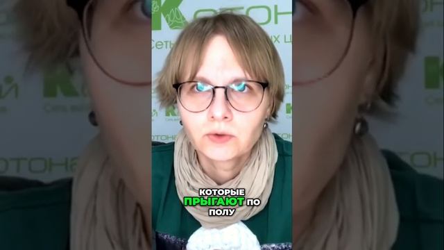 Почему блохи живут на улице и в подвалах_