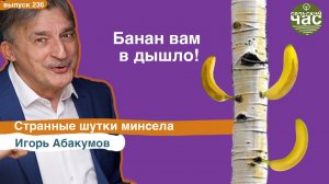 Банан вам в дышло! Странные шутки минсела. Сельский час #236 (Игорь Абакумов)