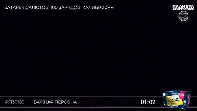 PF130100 Важная персона