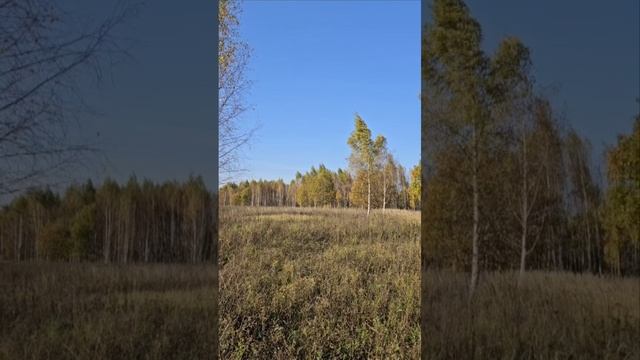 никто другой не сможет пройти твою дорогу Только ты сам И не уставай в пути Земля не может утомить .