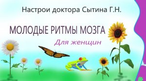 Молодые ритмы мозга Настрои Сытина