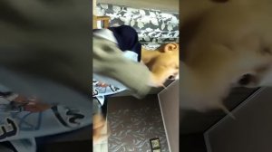 Как научиться стрелять зубочисткой...?