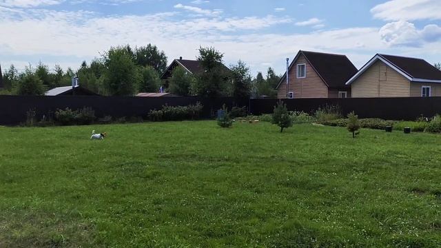 ОТДЕЛКА БЫТОВКИ/ГАДЖЕТ ДЛЯ ОКОН/ПОКУПКА ♀️. смотреть онлайн