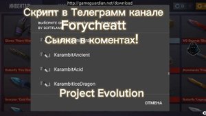 Топовый Скинченджер на Project Evolution/Разные приватки ❤️🔥Телеграмм канал в коментах!