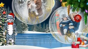 ProShow Producer - С Новым годом! Тигр поздравляет - 4