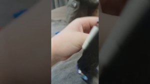 Skibidi Lego 9 (full episode)