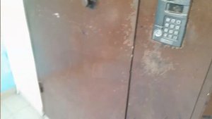 Мини-тест универсальных ключей StarNew в Кишинёве(Ботаника)