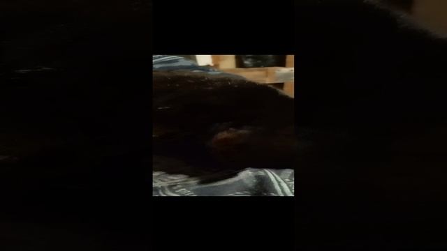 Сделайте погромче звук)