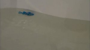 Robofish - роборыбка. Реальные съемки в ванной