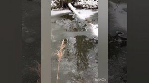 рыбалка на экраны осенью