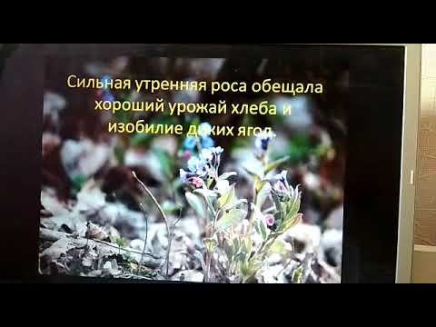 Народный календарь. 4 июня - Василисков день.
