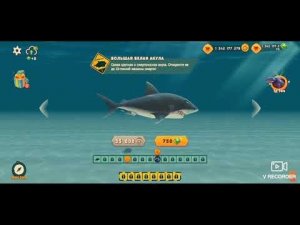 Hungry shark акула игра осминок акулаа