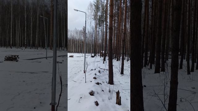 30 ноябрь 5.mp4