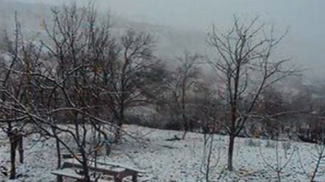 Фэхрэддин Орудж Гэрибсэс стихи смотреть онлайн