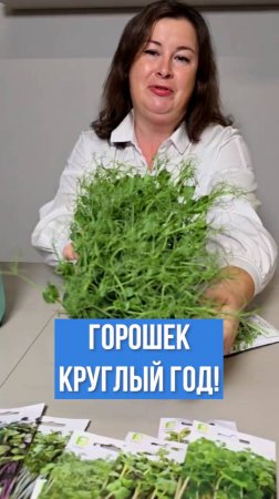 УДИВИТЕЛЬНЫЕ свойства и преимущества микрозелени горошка!