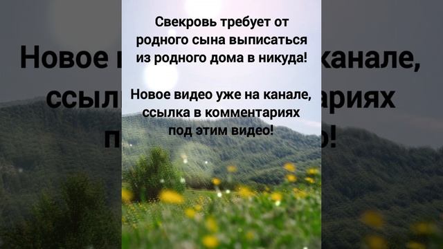 Свекровь требует от родного сына выписаться из родного дома в никуда! #свекровьиневестка #наследств