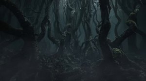 Hoia Baciu - The World's most Haunted Forest