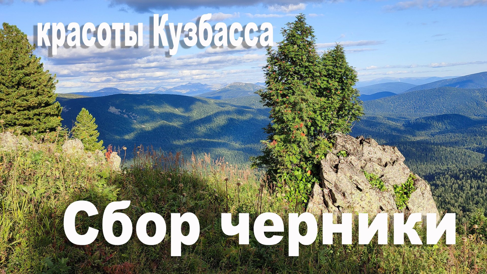 Сбор черники | Самая сложная дорога | Ломаем плотину бобра | Едем по бурелому | Путешествие смотреть онлайн