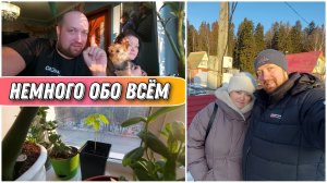 Немного обо всём🙂/Поехали на дачу/Посадили жёлудь из Санкт-Петербурга и уже вырос маленький дубок😊