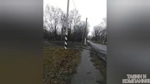 Небольшой обзор пансионата"Серебряный рассвет"п.Языково,Ульяновск.Отдых Надюшки с 19.11.24-28.11.24