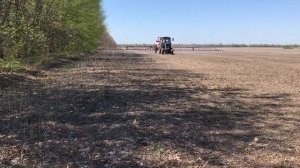 Кукурудза No till внесення гліфосату