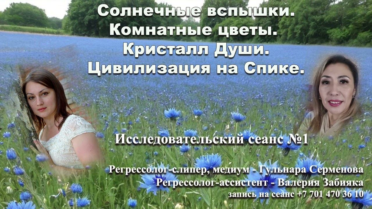 Солнечные вспышки. Кристалл души. Цивилизация Спики. Комнатные цветы. Исследовательский сеанс.