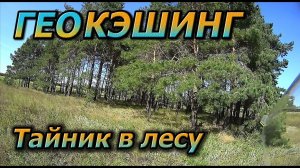 Геокэшинг. Часть #1: Что это такое? Поиск первого тайника.