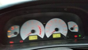 08-11-2024-плавает