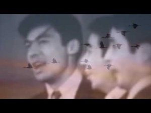 Песня Журавли на японском языке