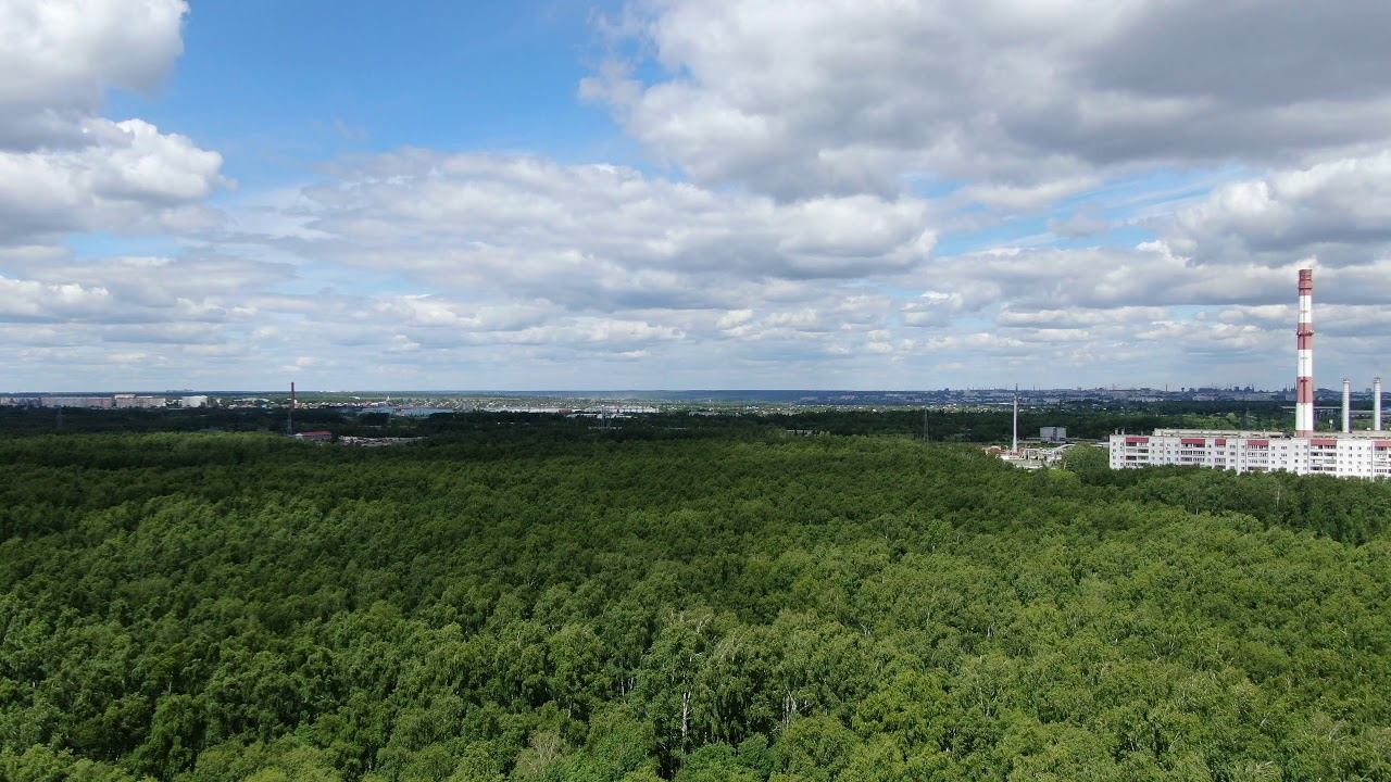 Челябинск: полет над верхушками деревьев // июнь 2019 // 4K смотреть онлайн