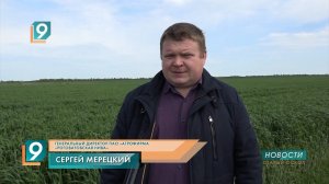 Рекордную площадь засеяли в "ПРОМАГРО" зерновыми культурами