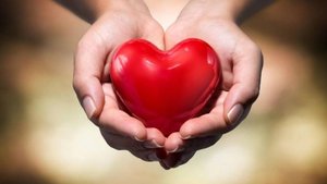 Каждый важен