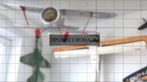 «Профессионалы»