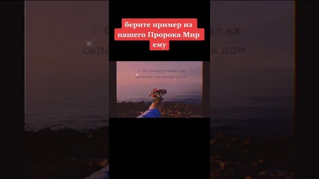 вот так должен мужчина относится к жене#islam#muslim#abuhurayra_ #nastavleny #Alhamdulillah смотреть онлайн