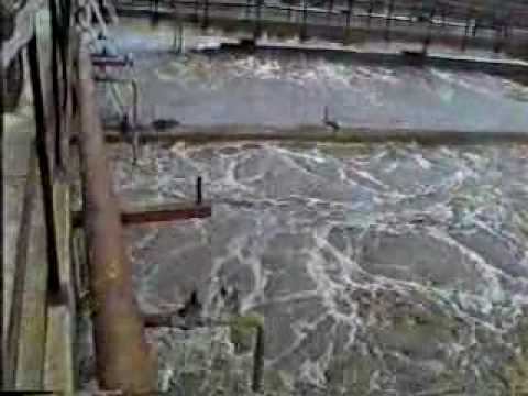 lv08.avi смотреть онлайн