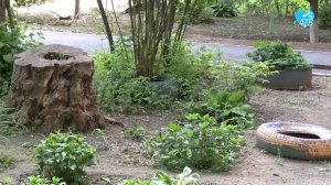 Добро пожаловаться. Скамейка у подъезда (17.05.2023)