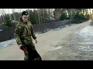 Встреча брата из армии