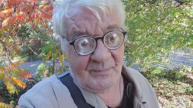 КАЛИНИНГРАД 2024: Золотая осень в Балтрайоне наступила – 12 октября  2024, СБ